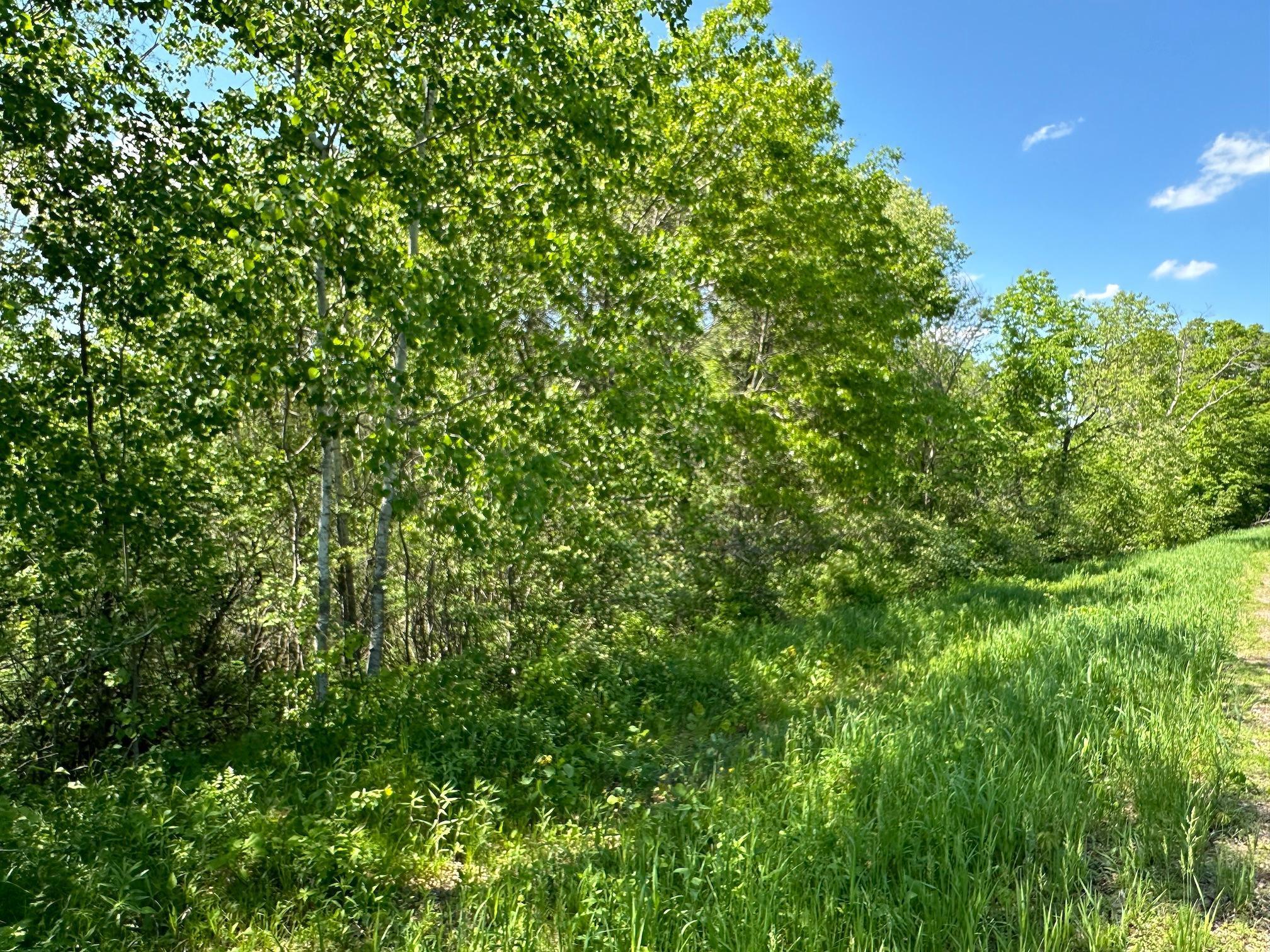 Tbd 140th Street Property Photo 6