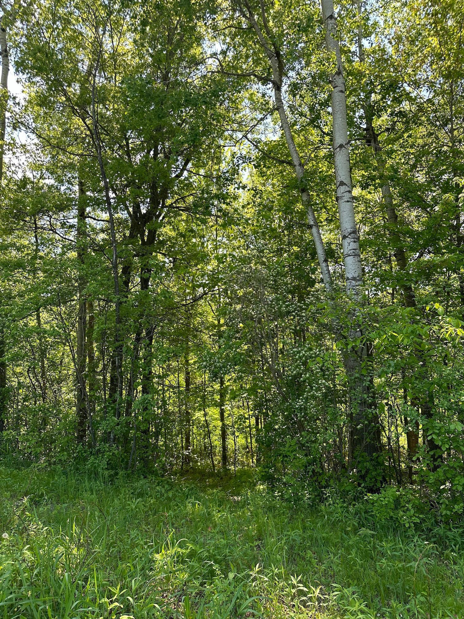 Tbd 140th Street Property Photo 7