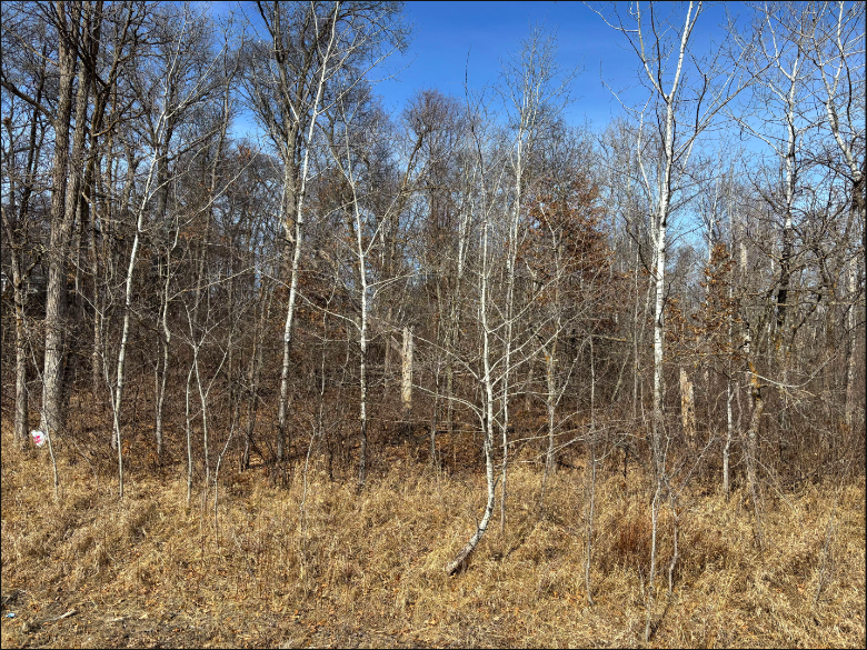Tbd Ski Chalet Drive Property Photo 2