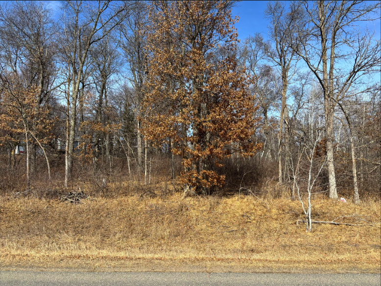 Tbd Ski Chalet Drive Property Photo 3