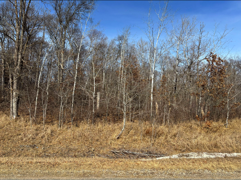 Tbd Ski Chalet Drive Property Photo 4