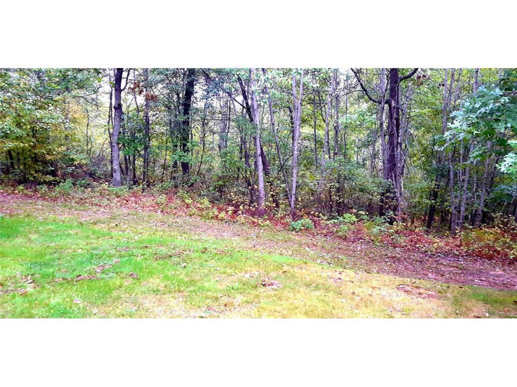 30461 Plumwood Trail Property Photo 21