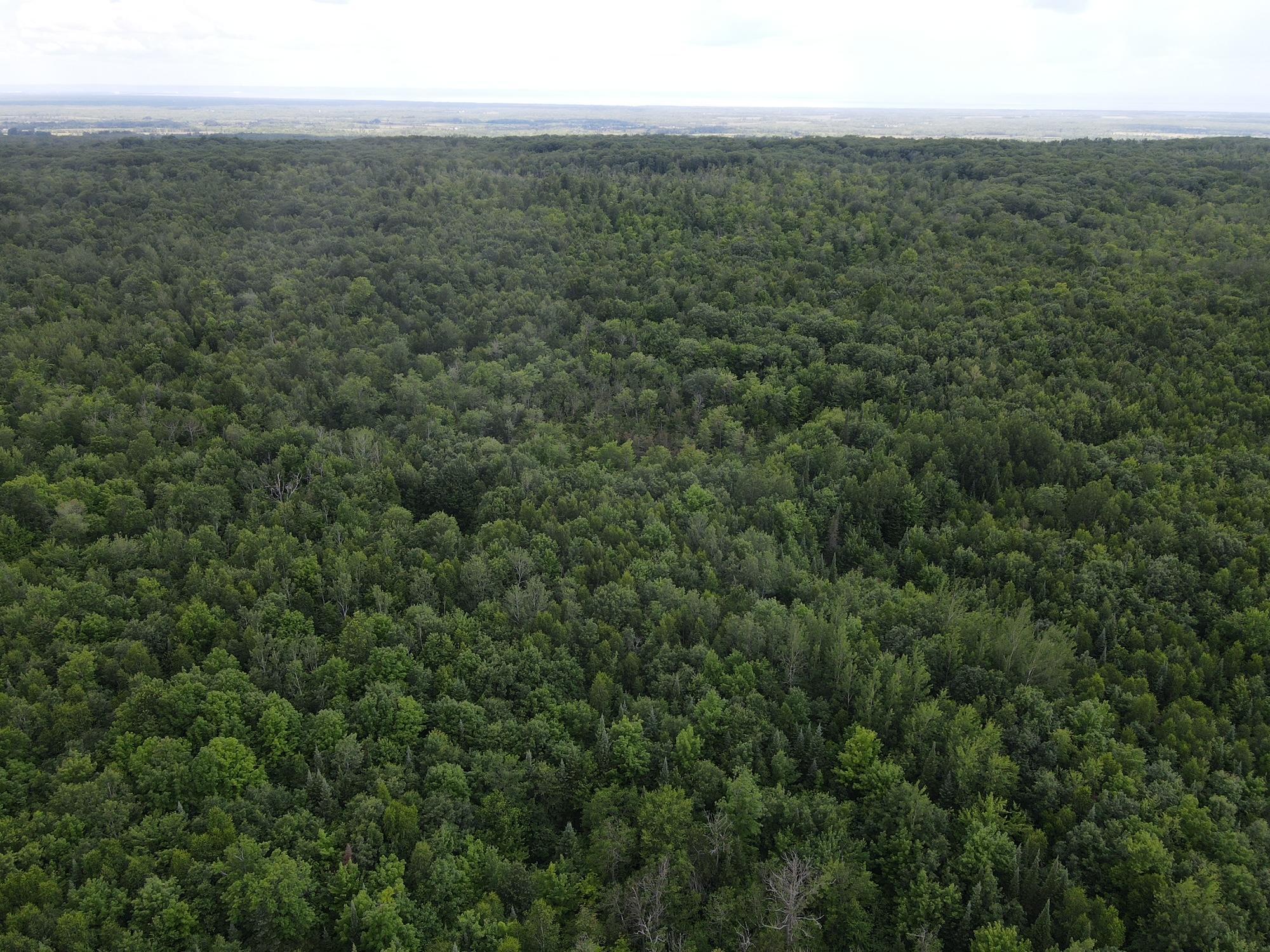 Tbd Highway 2 Property Photo 2