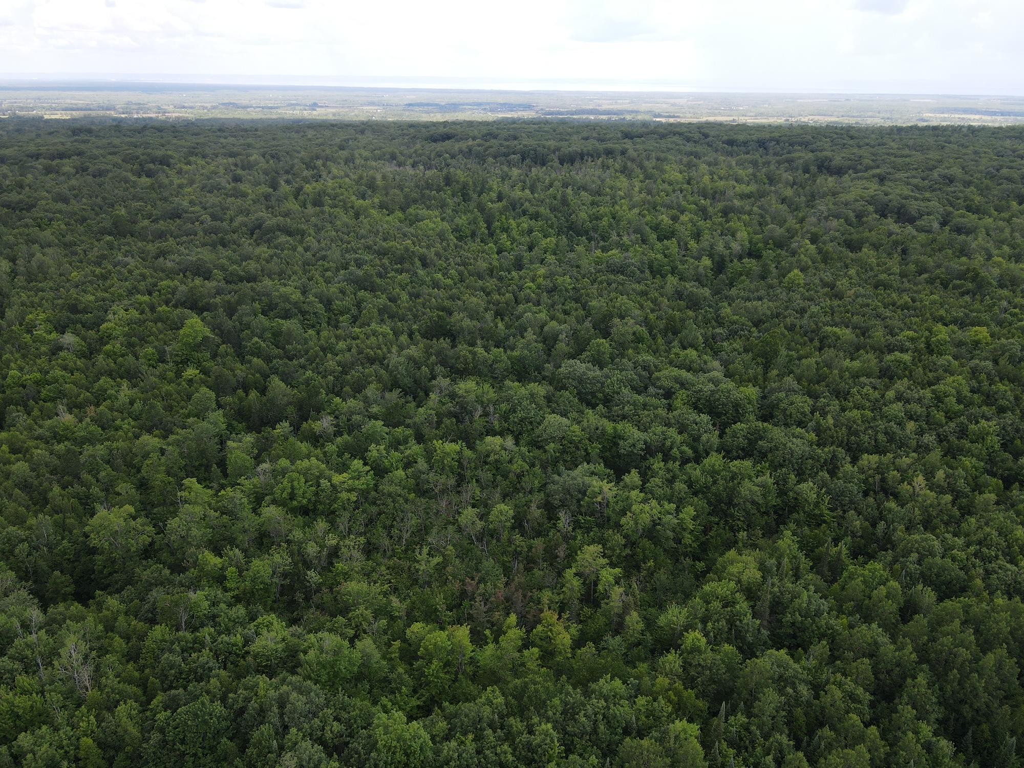 Tbd Highway 2 Property Photo 4