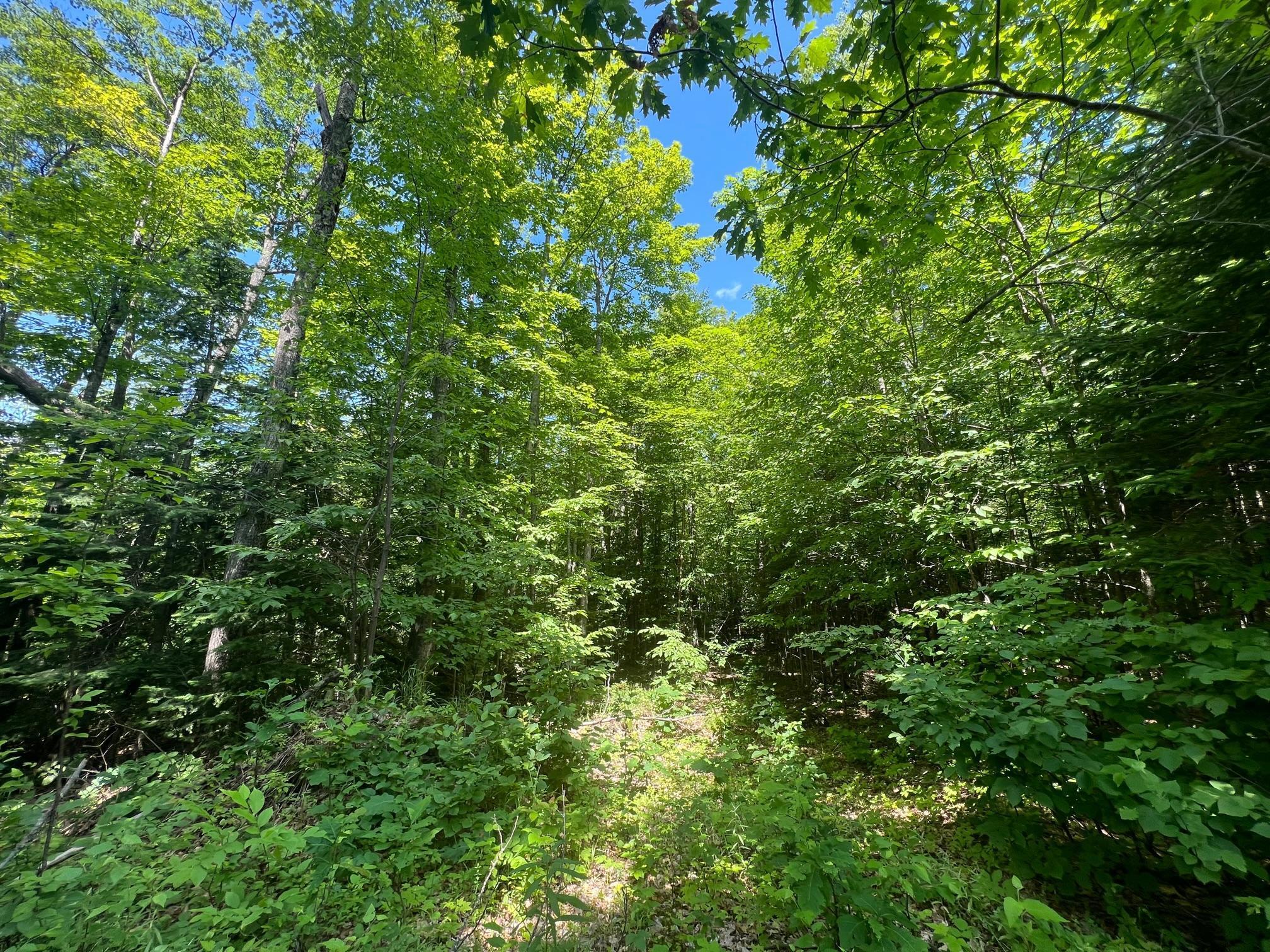 Tbd Highway 2 Property Photo 6