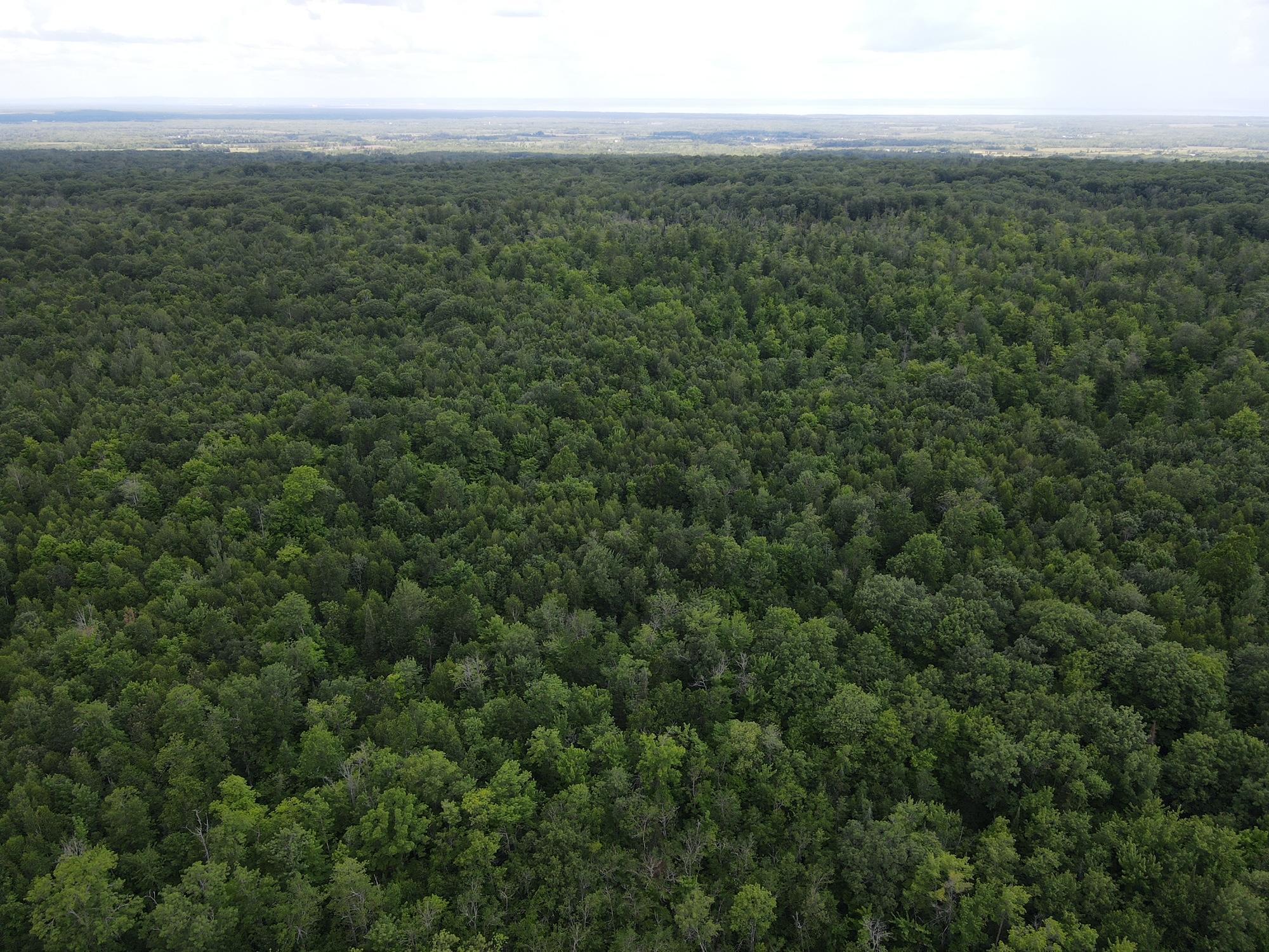 Tbd Highway 2 Property Photo 8