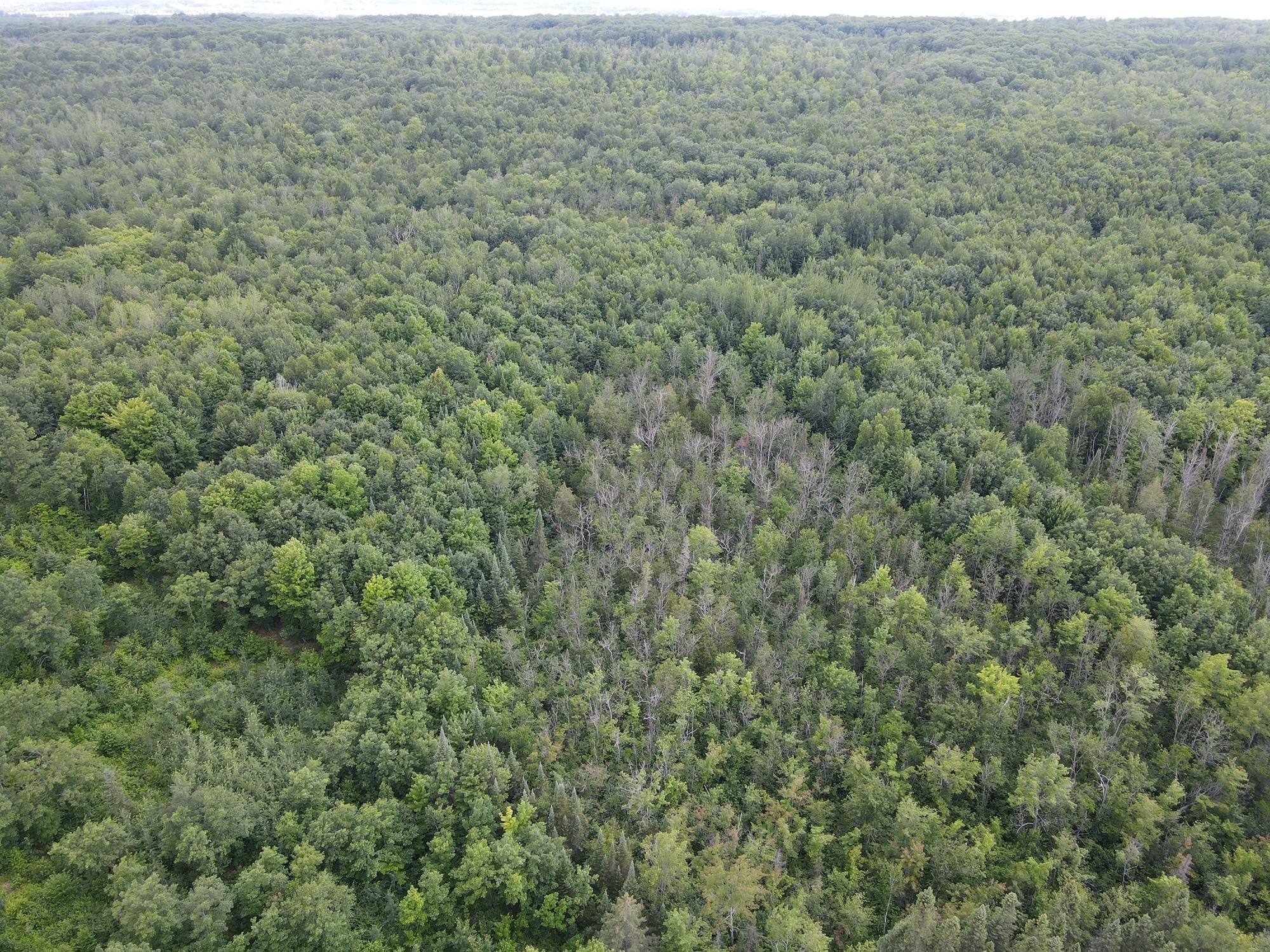 Tbd Highway 2 Property Photo 9