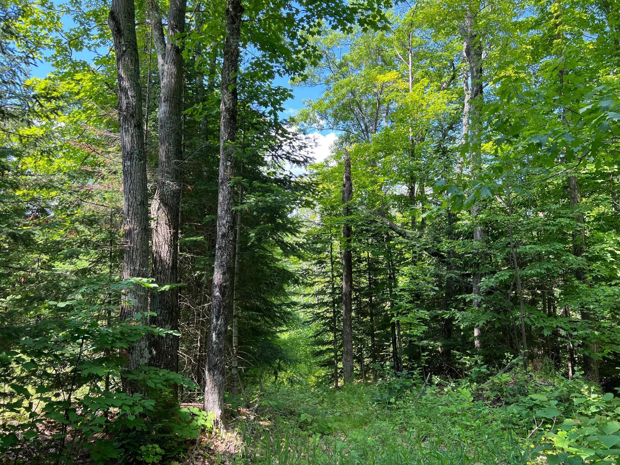 Tbd Highway 2 Property Photo 11