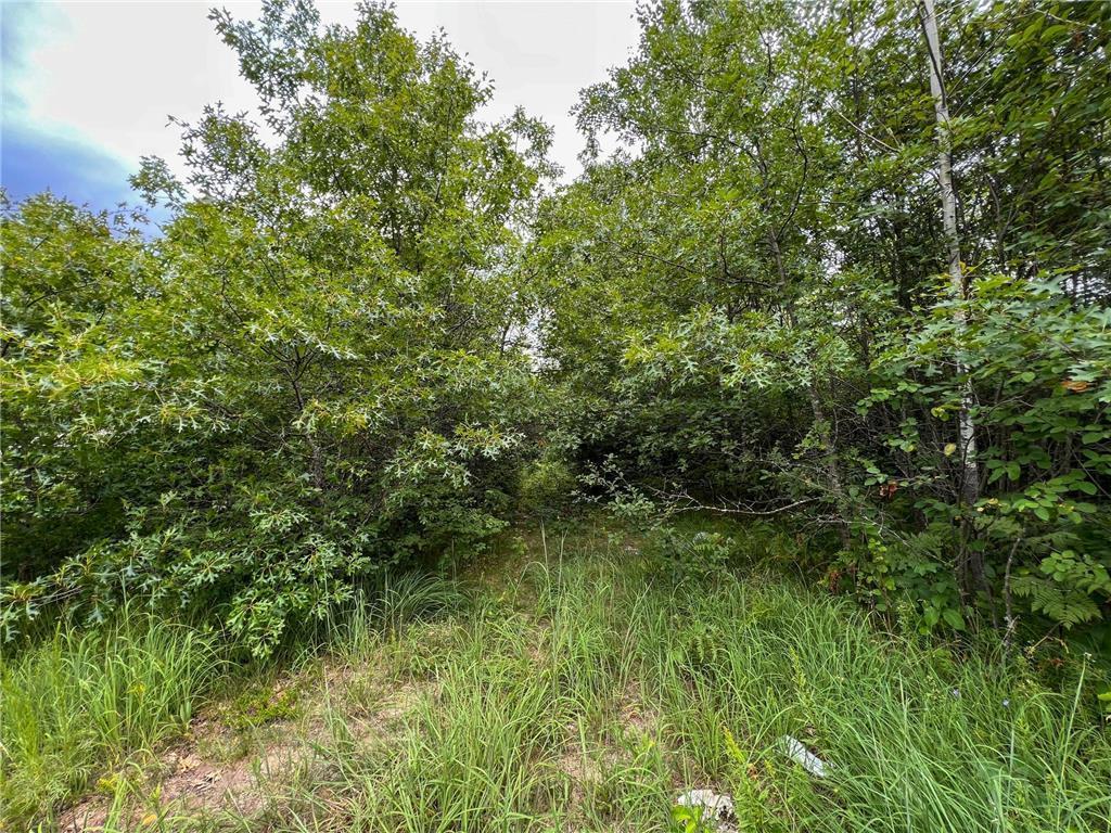 58.11 Ac 164th Street Property Photo 6