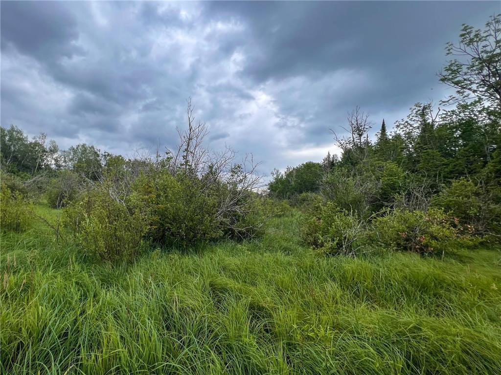 58.11 Ac 164th Street Property Photo 8