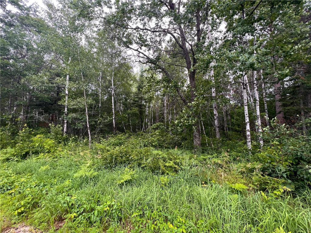 58.11 Ac 164th Street Property Photo 12