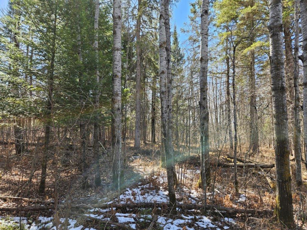 Tbd N 360th Street Property Photo 3
