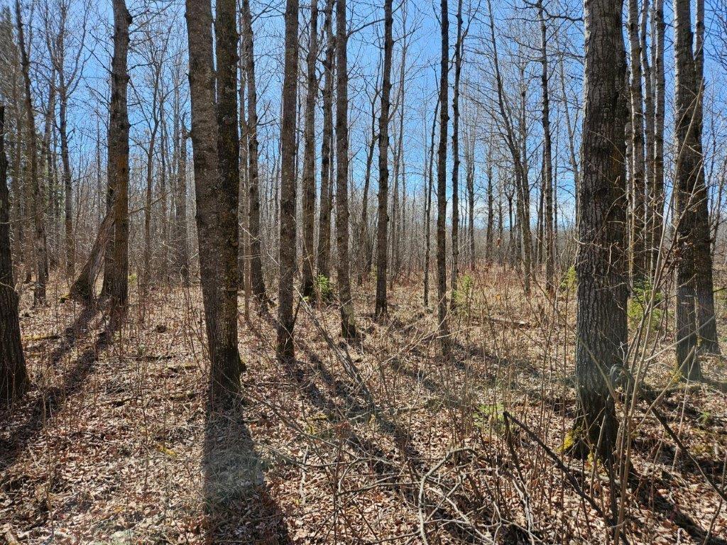 Tbd N 360th Street Property Photo 4