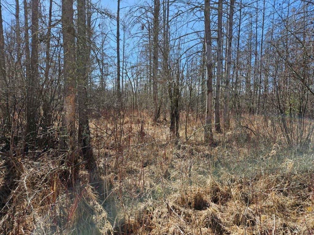 Tbd N 360th Street Property Photo 5
