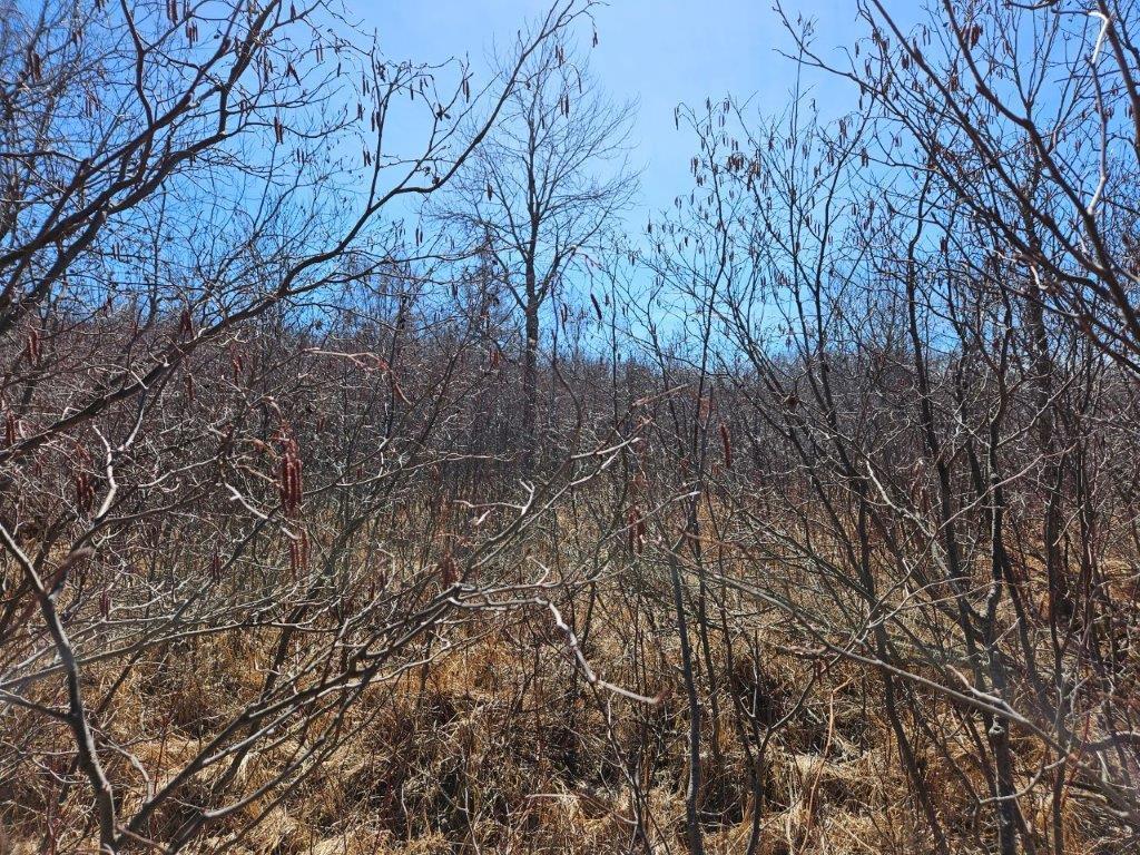 Tbd N 360th Street Property Photo 8