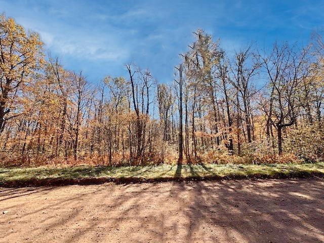 Tract C Olander Road Property Photo 1