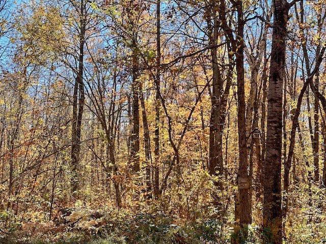 Tract C Olander Road Property Photo 6