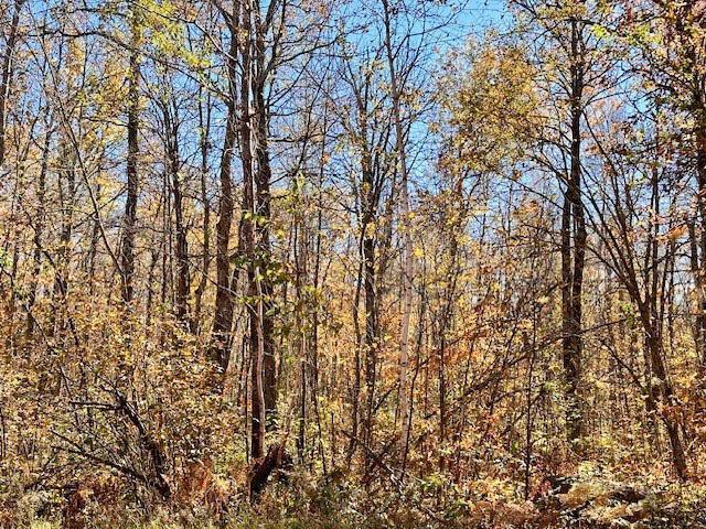 Tract C Olander Road Property Photo 8