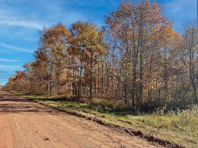 Tract C Olander Road Property Photo 9