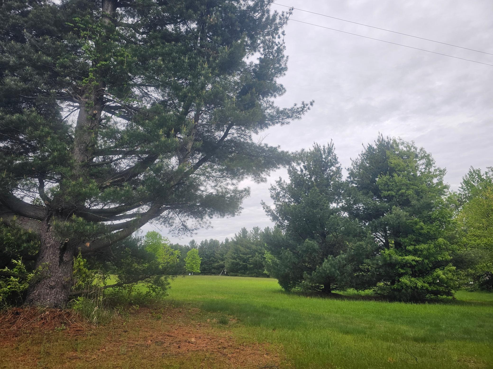 Lot C Reitz Road Property Photo 1