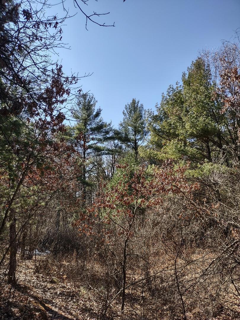 Lots 18 & 19 Whitetail Court Property Photo 1