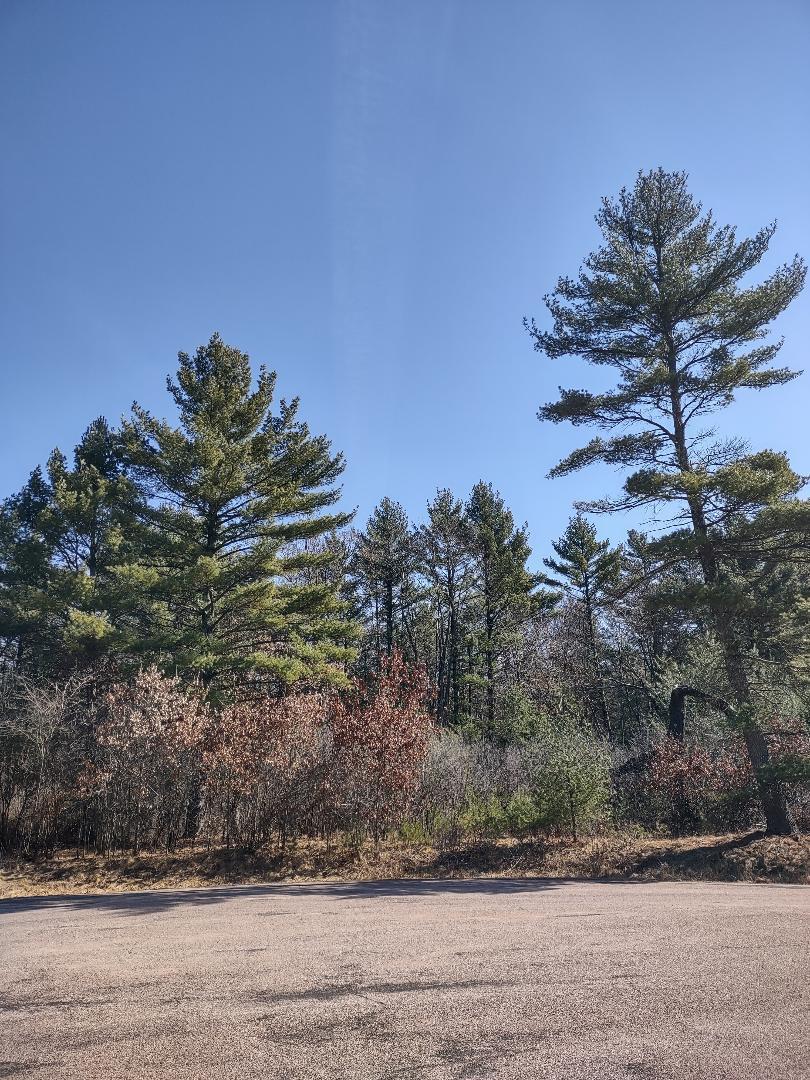 Lots 18 & 19 Whitetail Court Property Photo 10