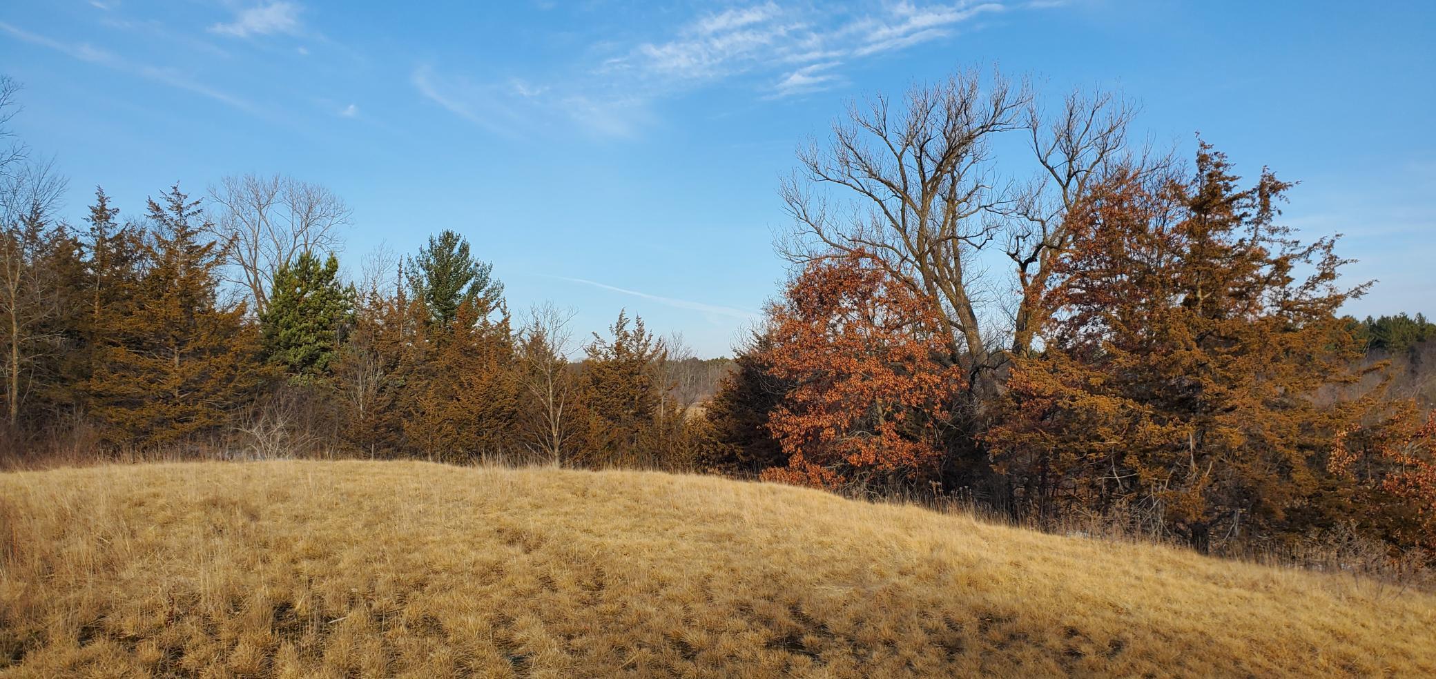 1002 Moon Glow Road Property Photo 1