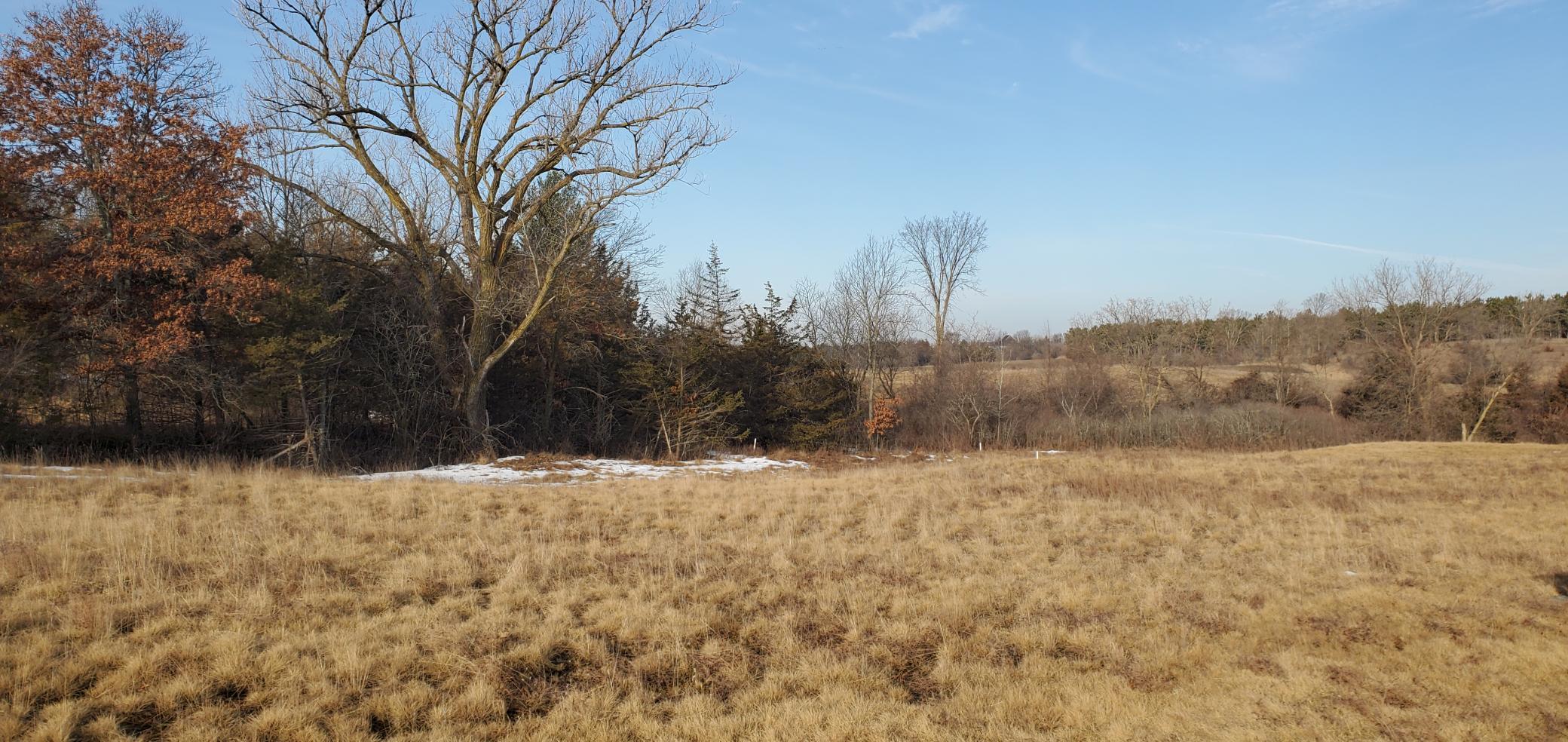 1002 Moon Glow Road Property Photo 14