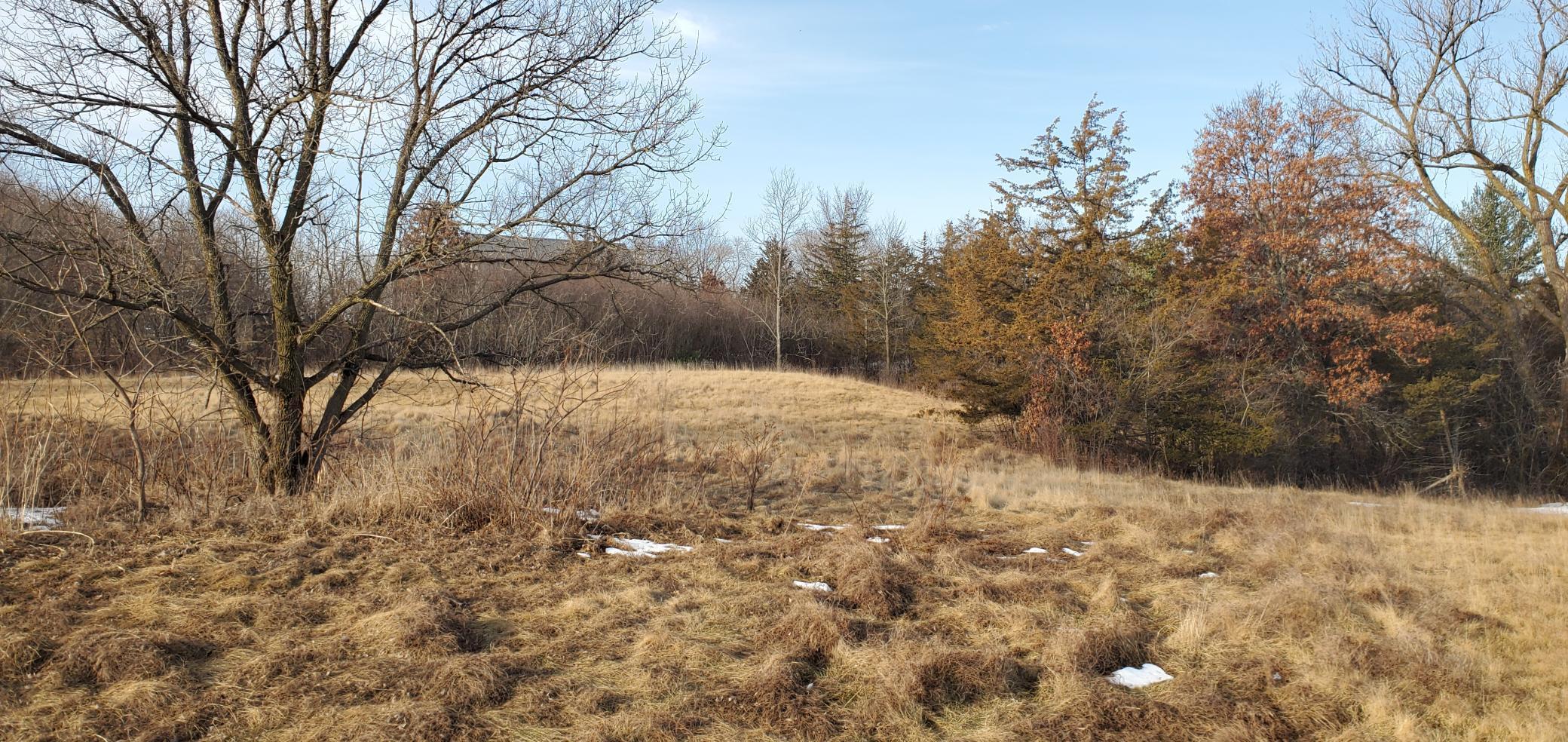 1002 Moon Glow Road Property Photo 15