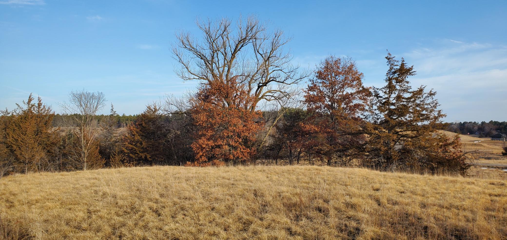 1002 Moon Glow Road Property Photo 17