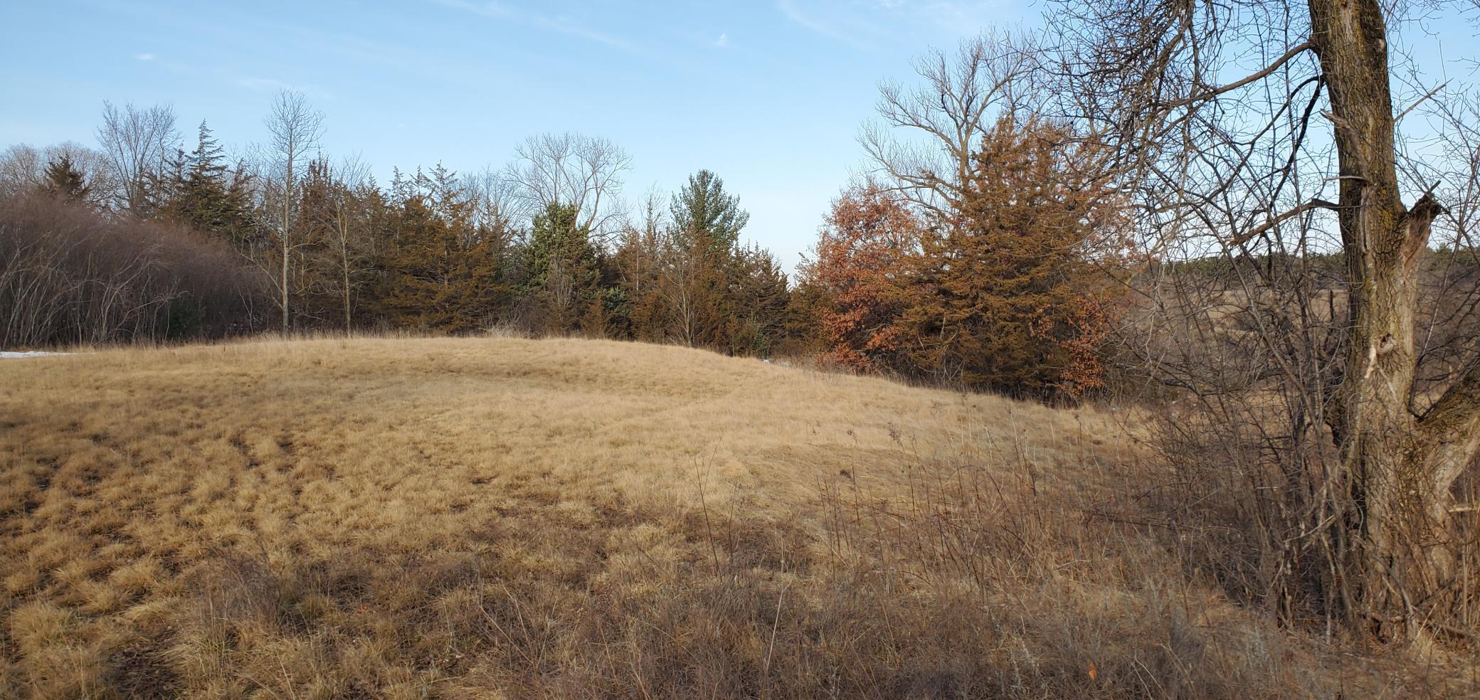 1002 Moon Glow Road Property Photo 18