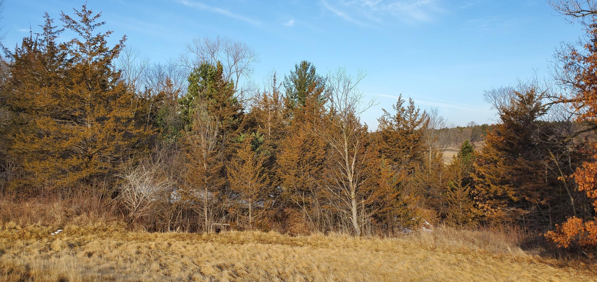 1002 Moon Glow Road Property Photo 20