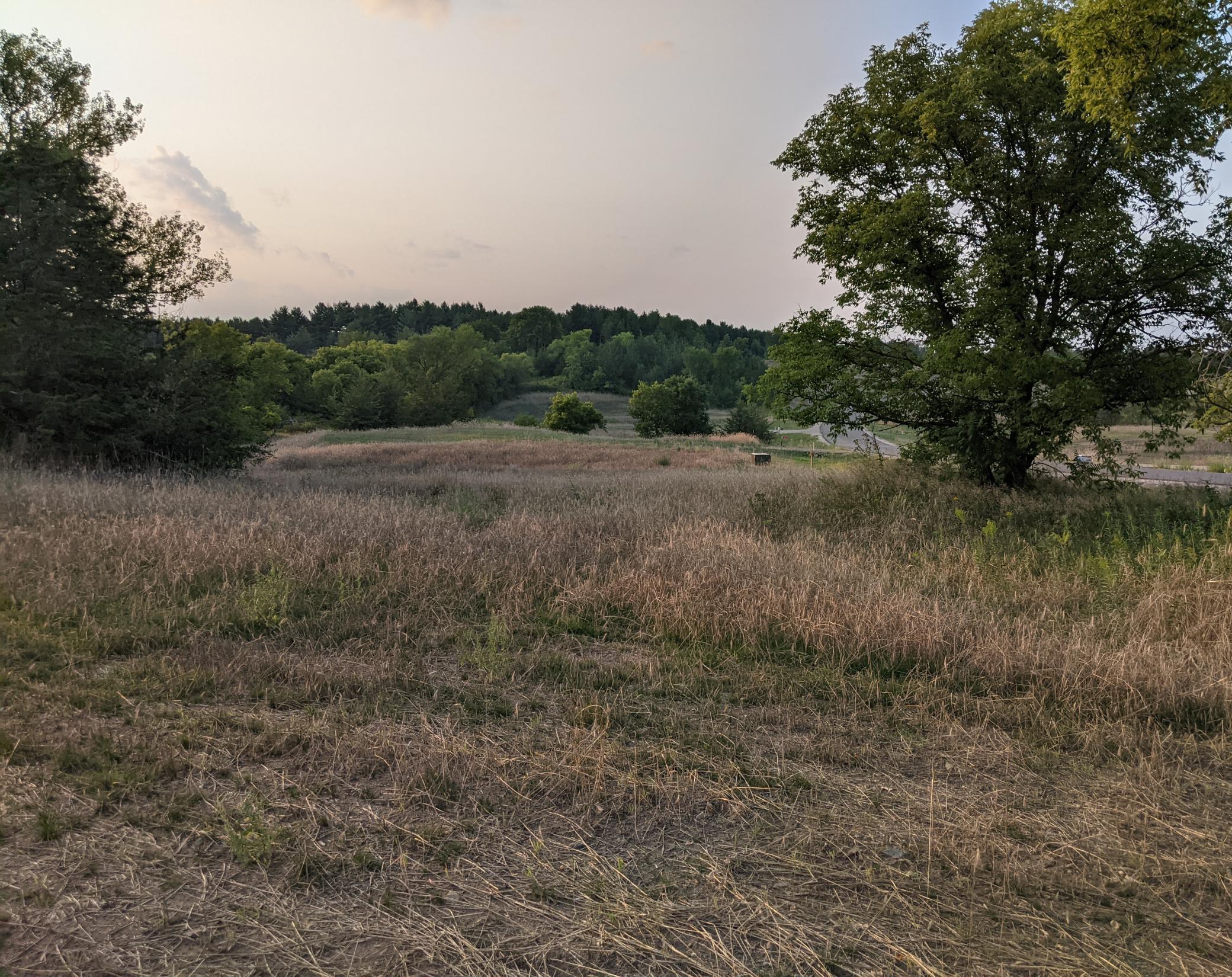 1002 Moon Glow Road Property Photo 21