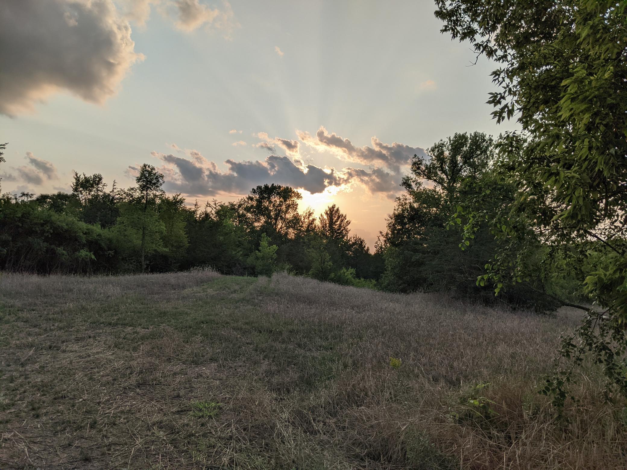 1002 Moon Glow Road Property Photo 25