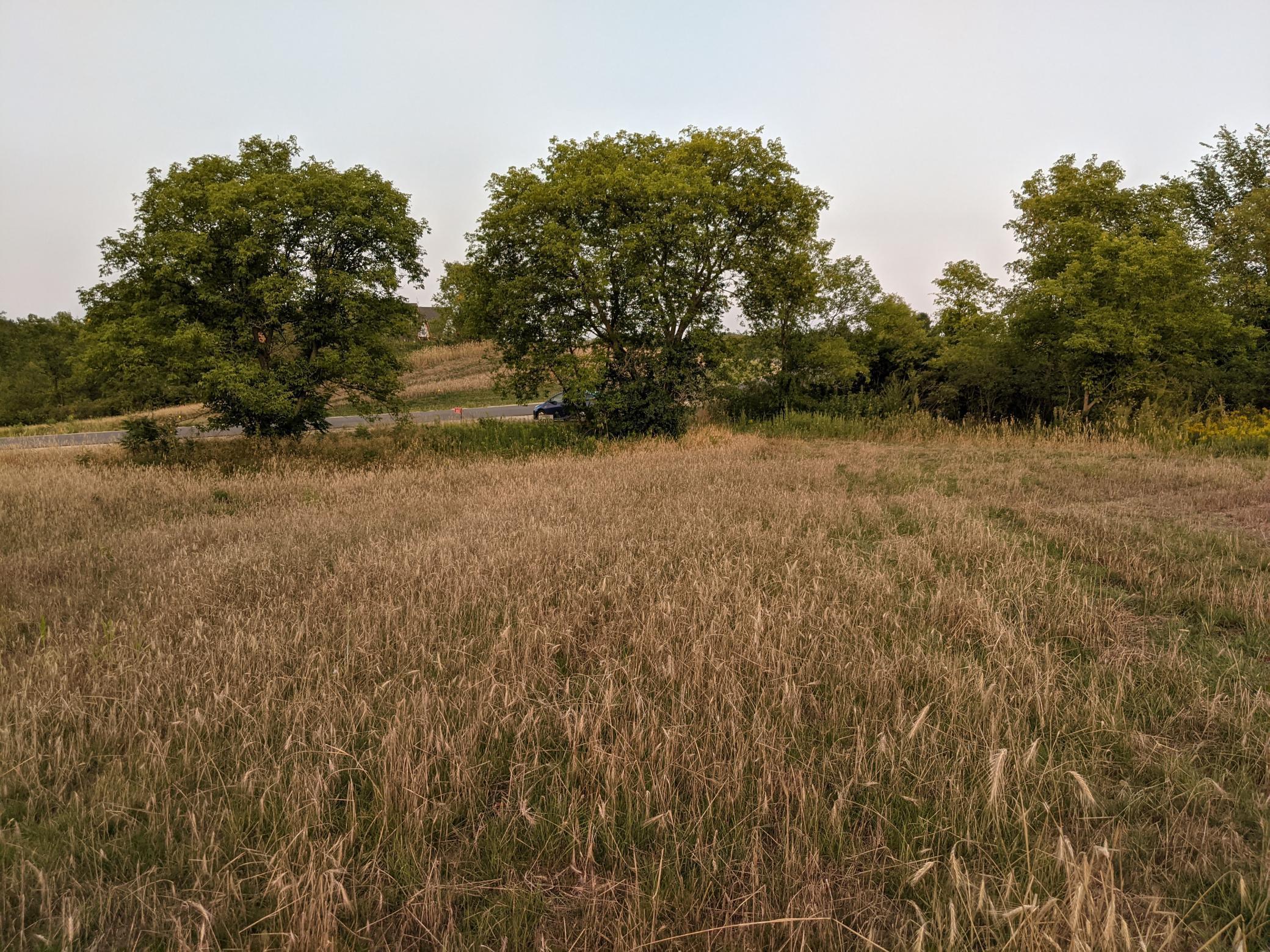 1002 Moon Glow Road Property Photo 26