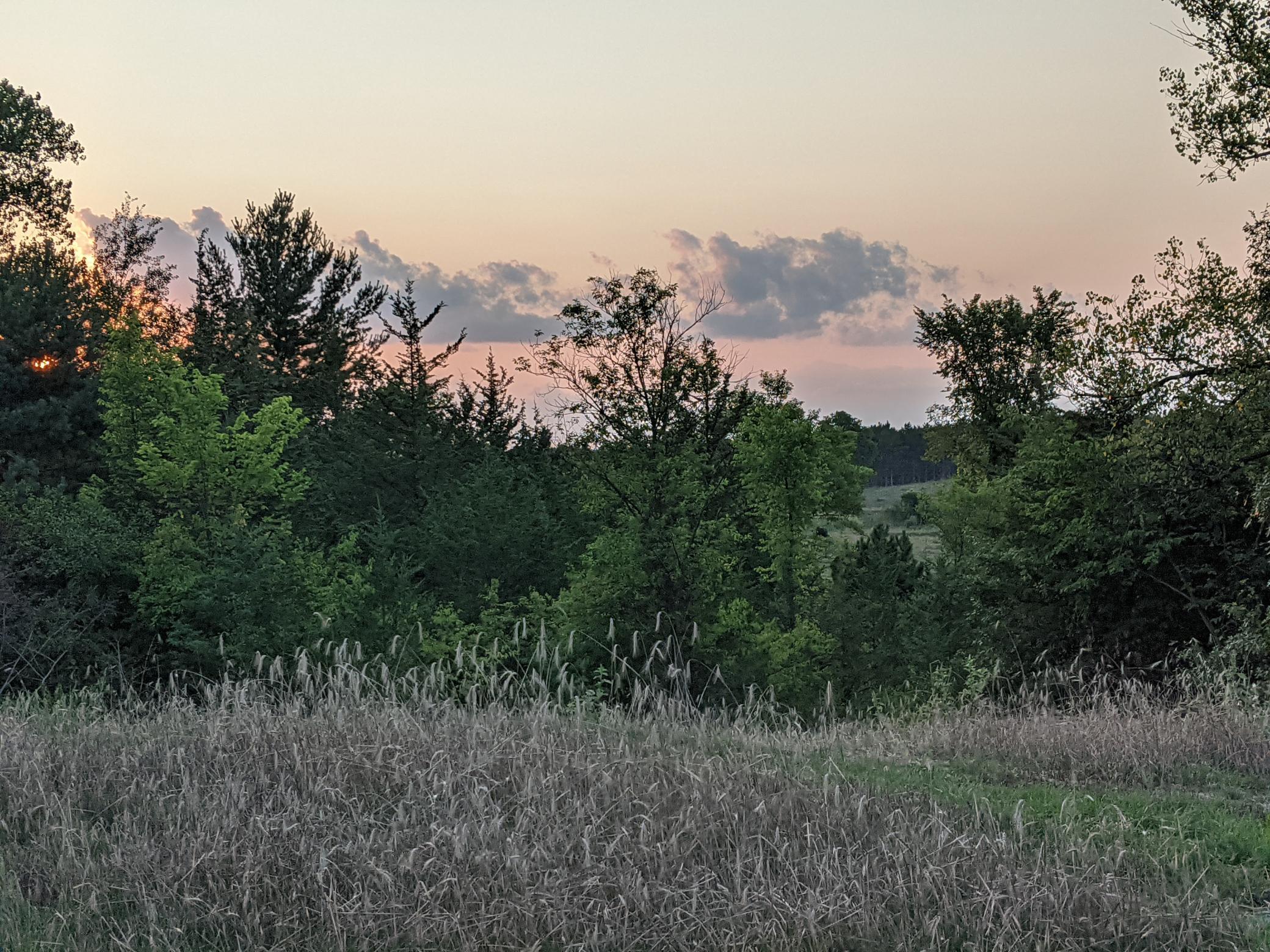 1002 Moon Glow Road Property Photo 27