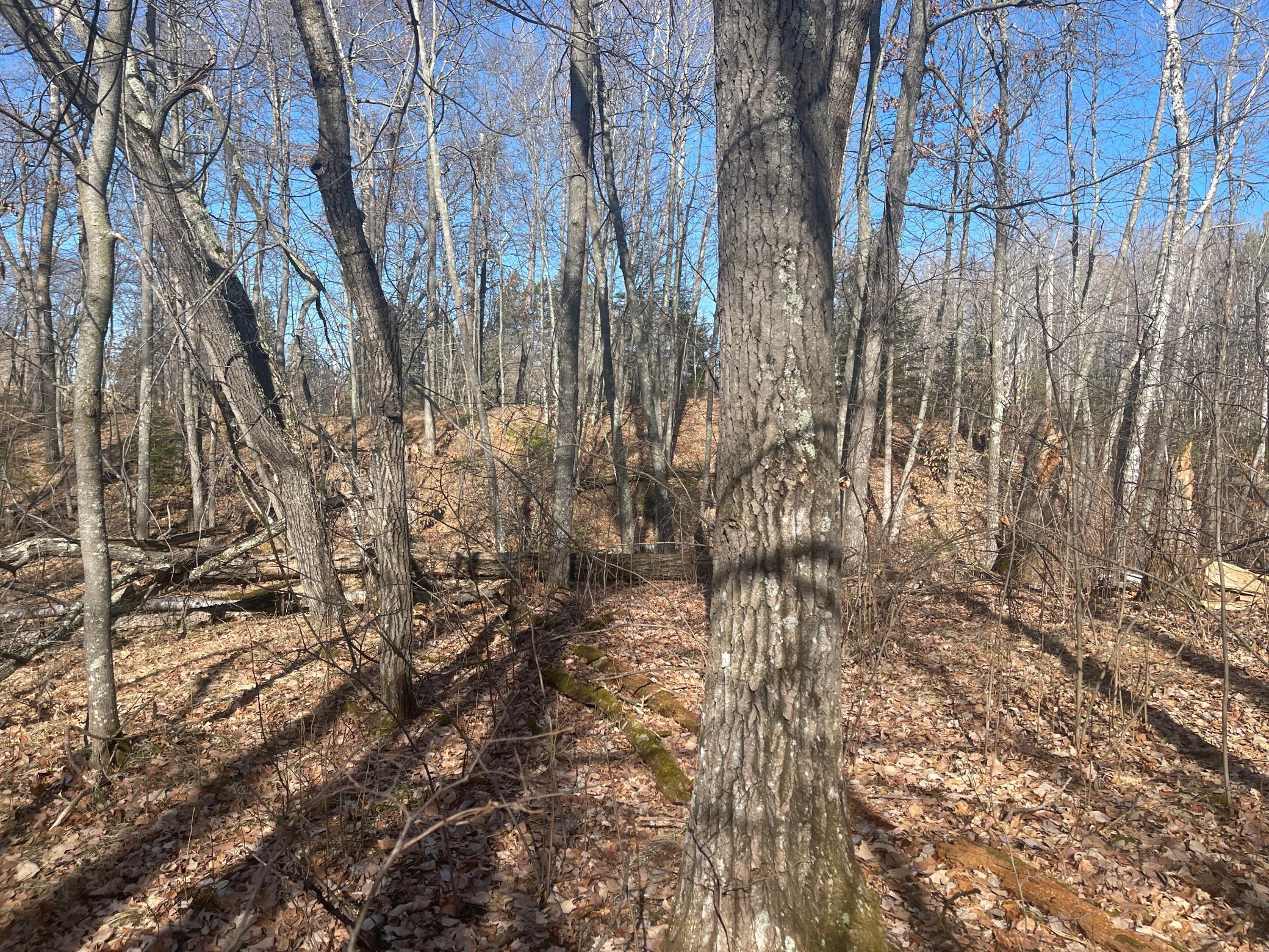 Lots 129-131 Ski Chalet Drive Property Photo 8