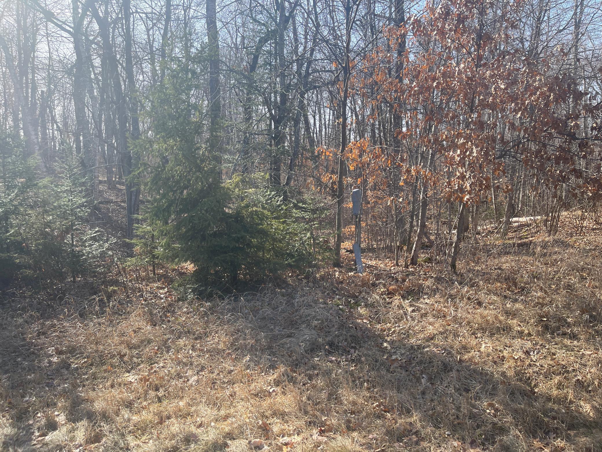 Lots 129-131 Ski Chalet Drive Property Photo 10