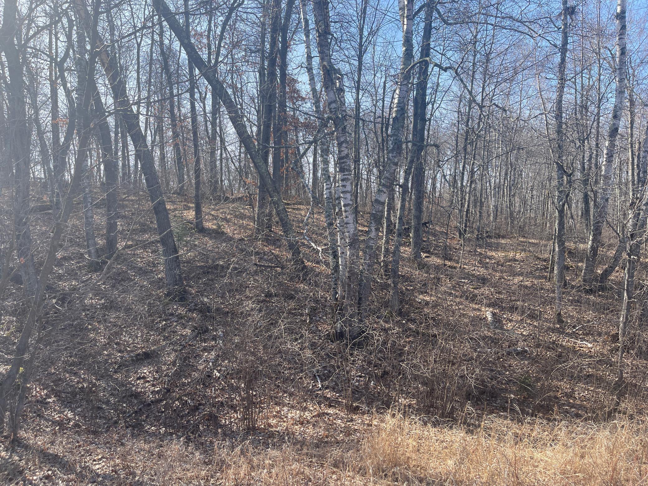 Lots 129-131 Ski Chalet Drive Property Photo 11