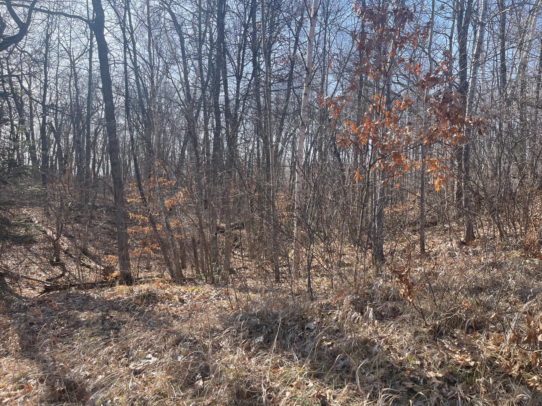 Lots 129-131 Ski Chalet Drive Property Photo 13