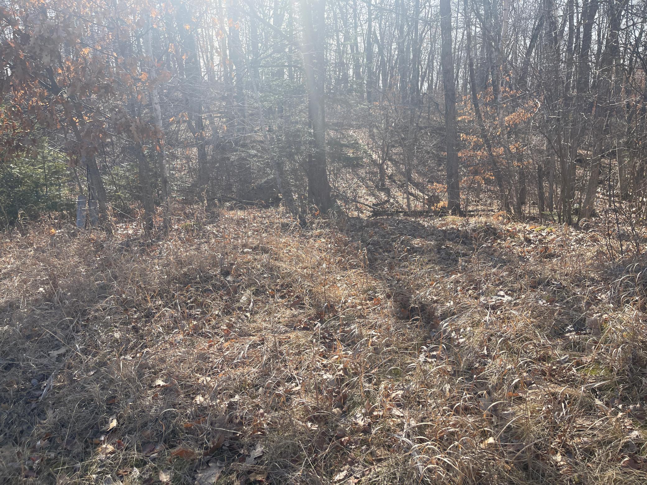 Lots 129-131 Ski Chalet Drive Property Photo 14