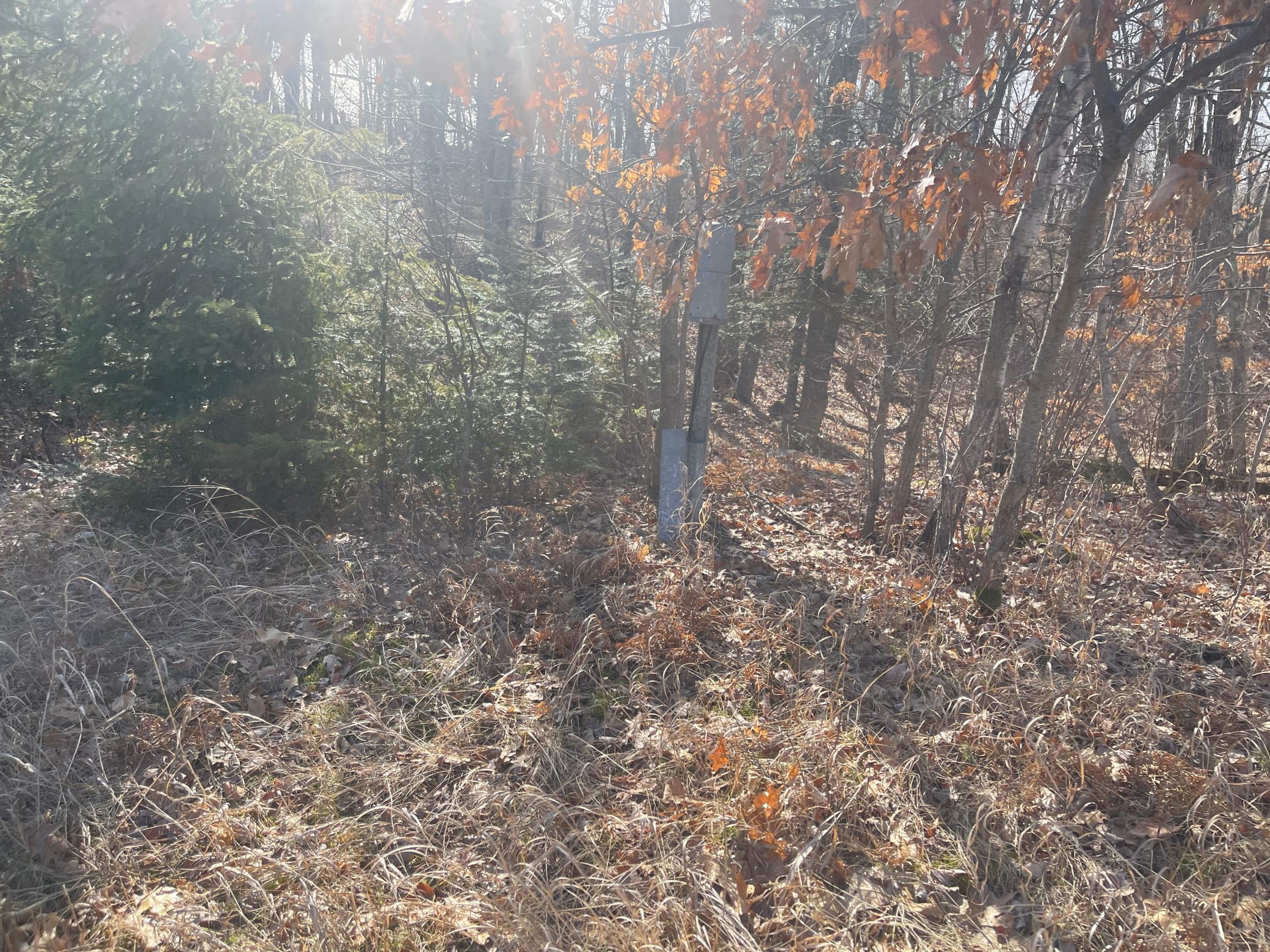 Lots 129-131 Ski Chalet Drive Property Photo 15