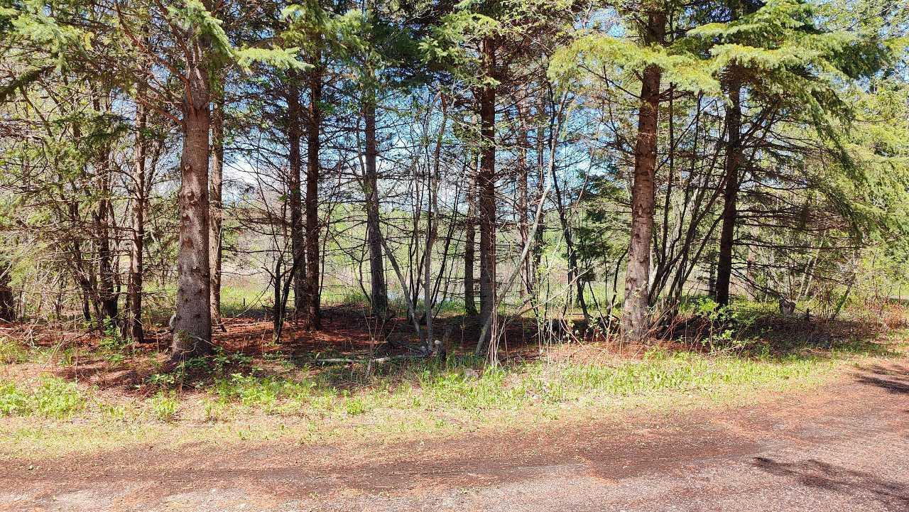 80086 Gruban Circle Property Photo 11