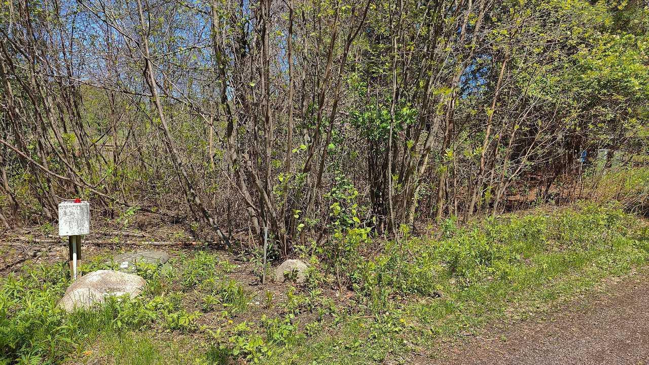 80086 Gruban Circle Property Photo 17