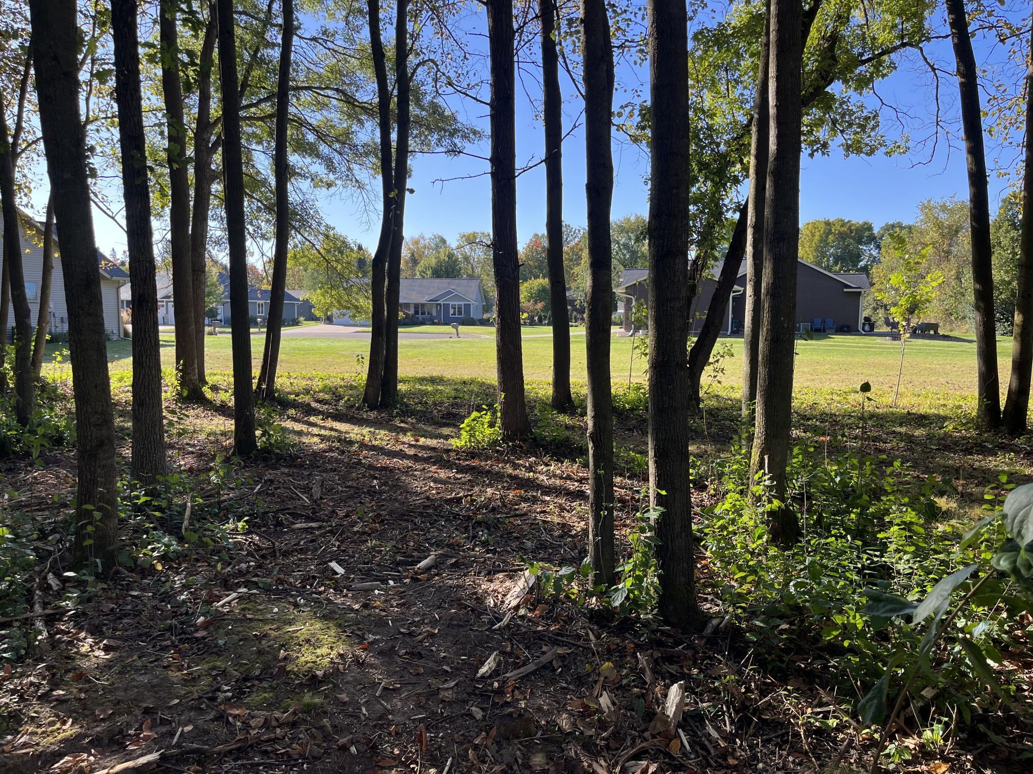 917 Scharbillig Court Property Photo 1