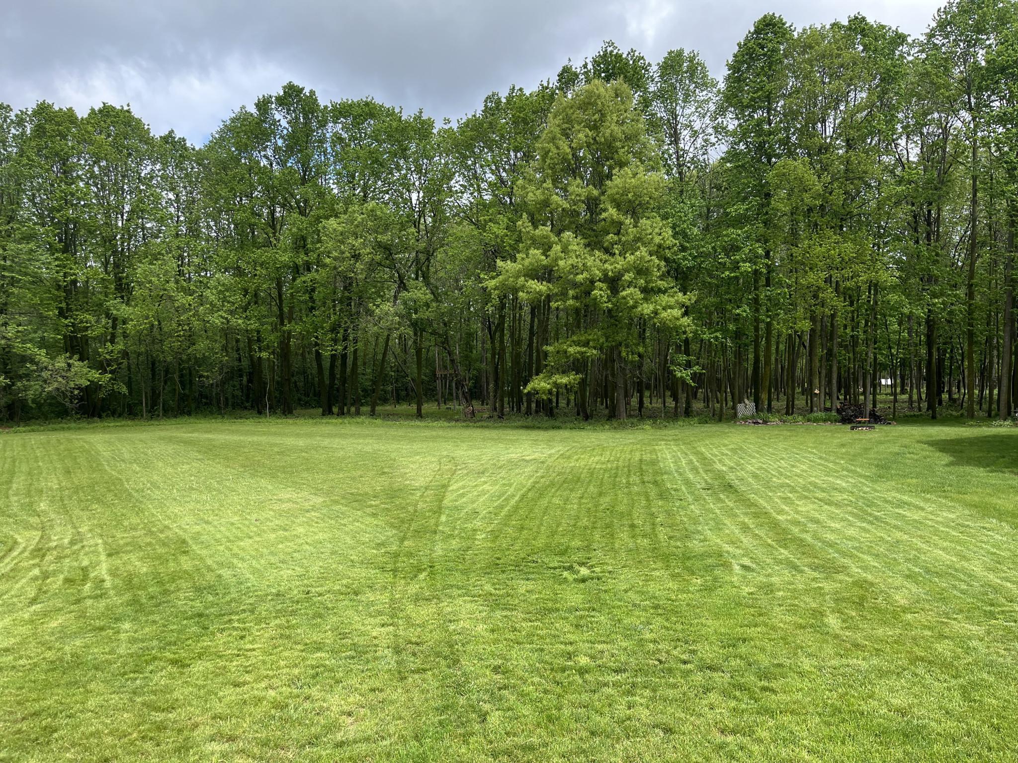 917 Scharbillig Court Property Photo 6