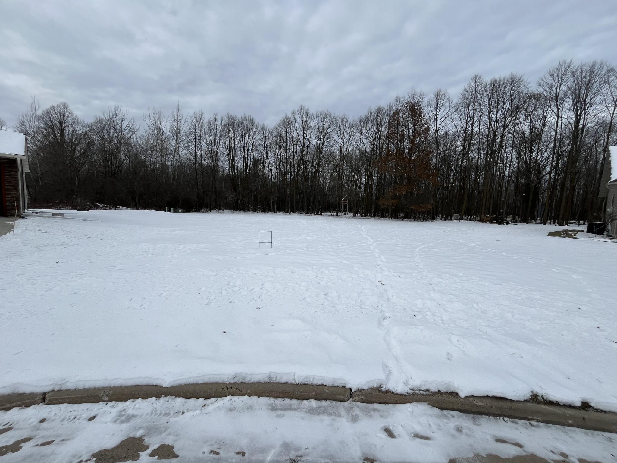 917 Scharbillig Court Property Photo 7