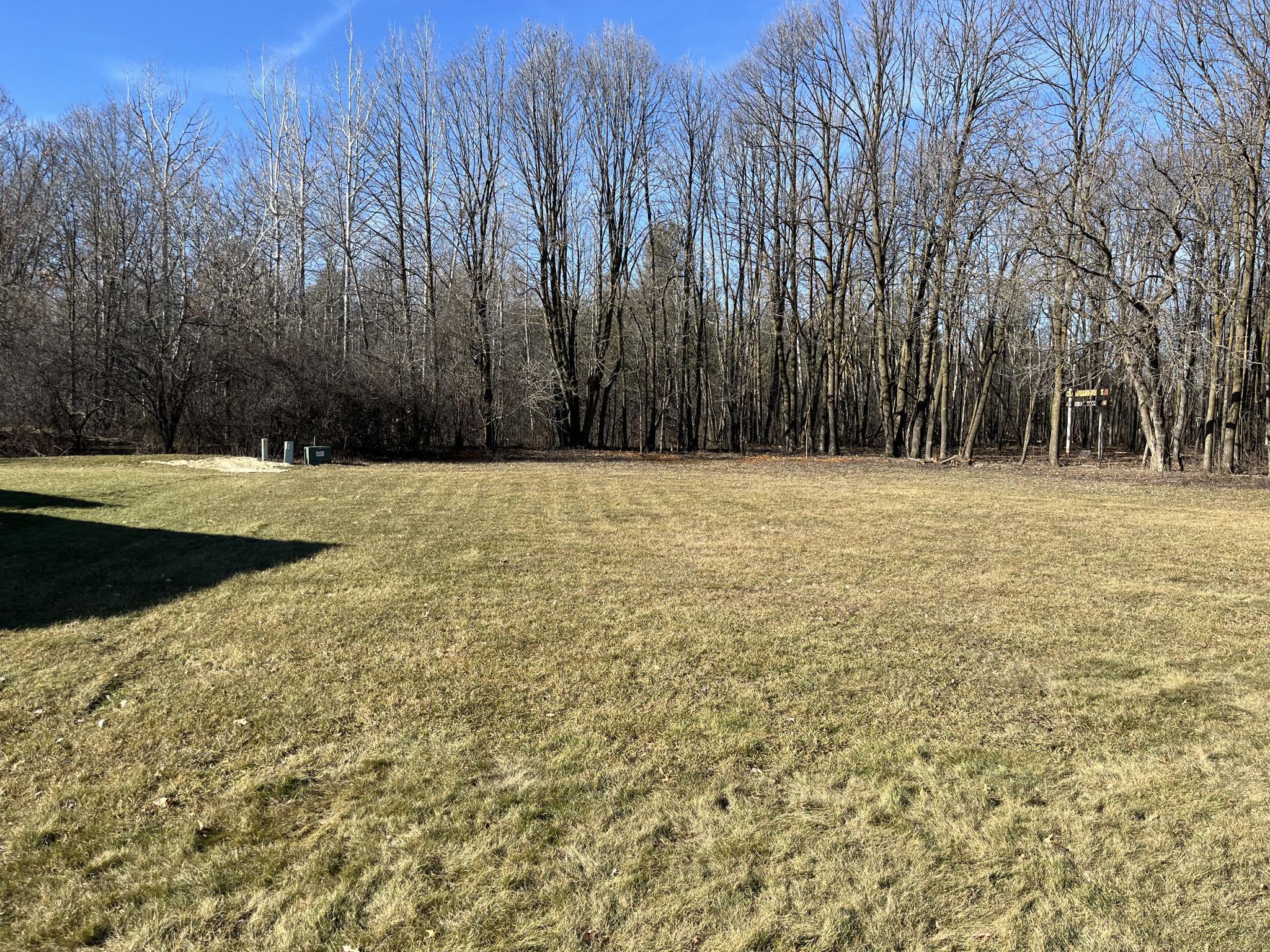 917 Scharbillig Court Property Photo 8