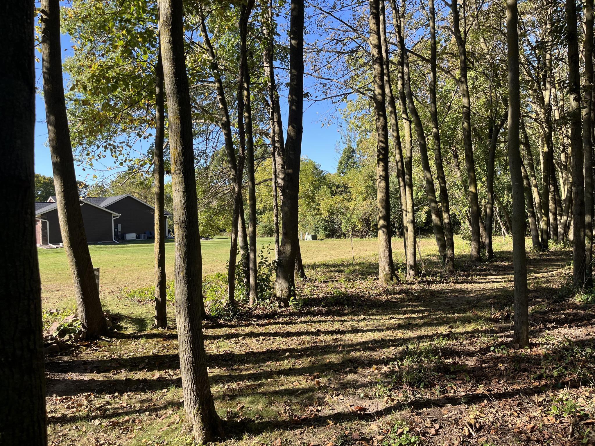 917 Scharbillig Court Property Photo 11