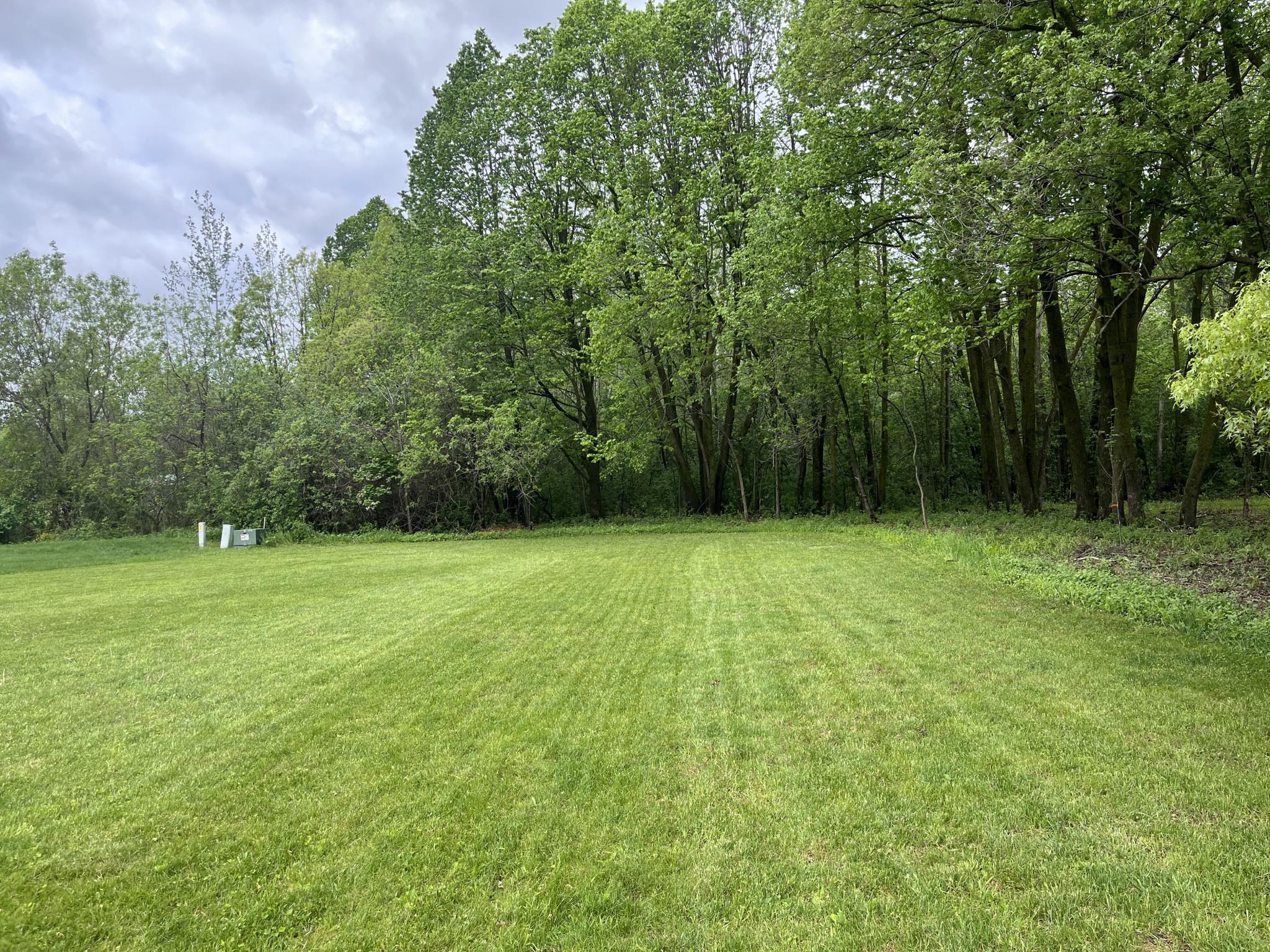 917 Scharbillig Court Property Photo 12